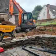 garden dig up
